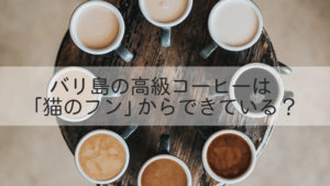 バリ島の高級コーヒーは 「猫のフン」からできている？