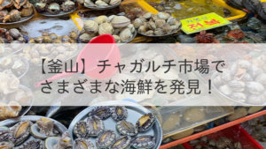 【釜山】チャガルチ市場で様々な海鮮を発見！